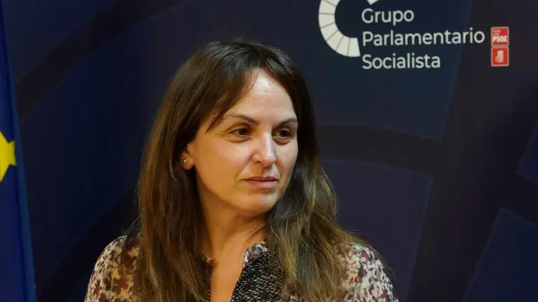 La portavoz del Grupo Parlamentario Socialista, Patricia Gómez, analiza asuntos de actualidad de Castilla y León.