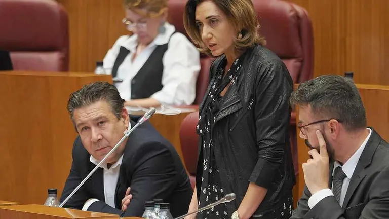 La procuradora de UPL, Alicia Gallego, durante su intervenci&oacute;n en el pleno.
