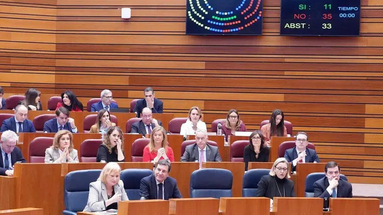 Votaci&oacute;n en la segunda sesi&oacute;n del pleno de las Cortes de Castilla y Le&oacute;n.