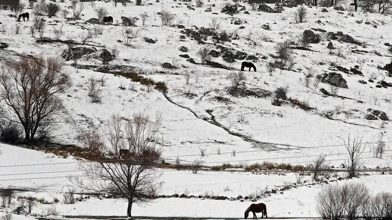 La nieve cubre los valles de la comarca de Arb&aacute;s, durante un temporal de este invierno. Foto: Peio Garc&iacute;a