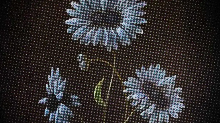 Imagen parcial del cartel promocional de la muestra expositiva.