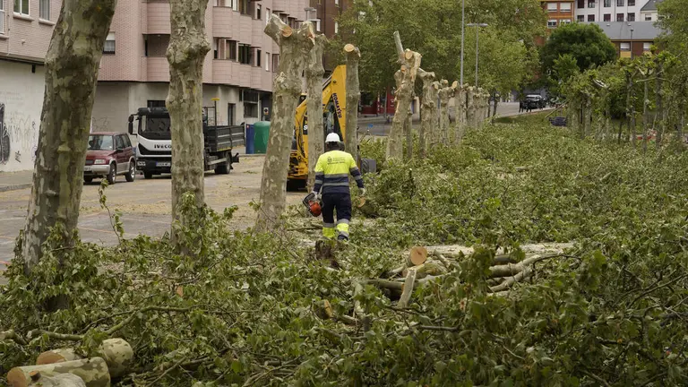 Tala de &aacute;rboles en los jardines del Sil de Ponferrada