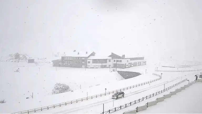nieve