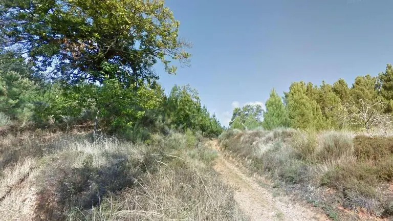 Camino rural en el municipio de Arganza.