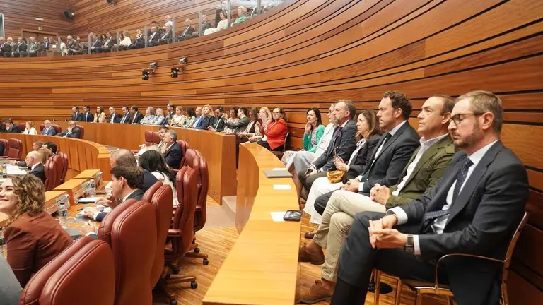 El candidato a la Presidencia de la Junta de Castilla y Le&oacute;n, Alfonso Fern&aacute;ndez Ma&ntilde;ueco, expone su programa de gobierno en las Cortes