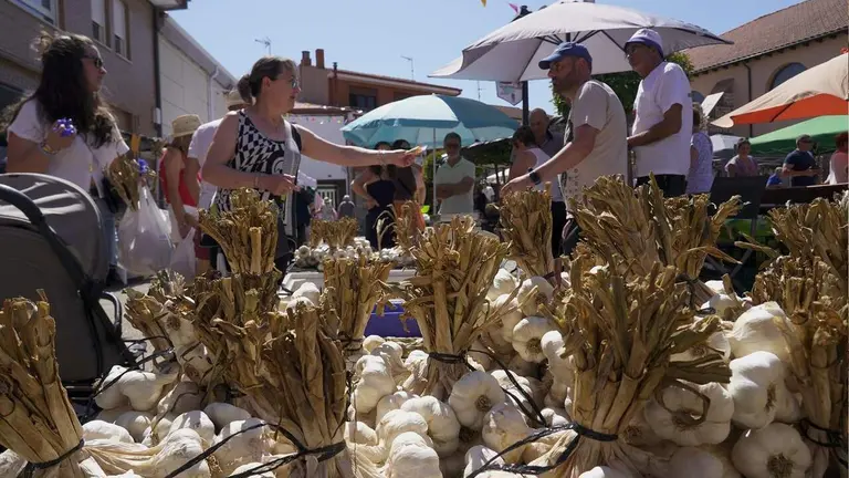 feria ajo santa marina (14)
