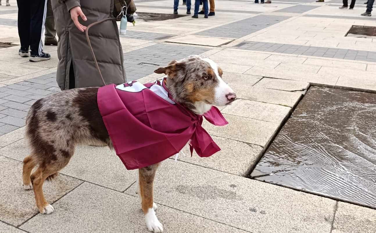 Un perro con la bandera de León en la antesala de la marcha.