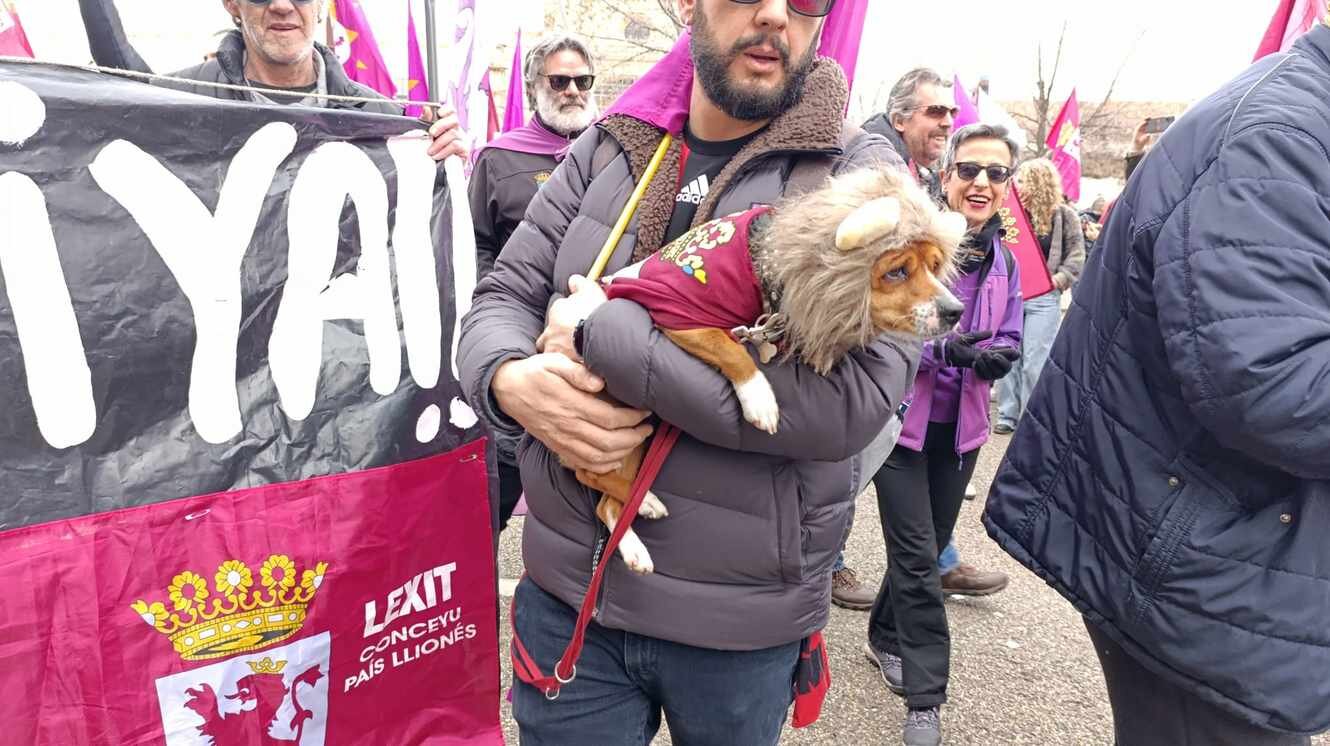 Un 'perro león' se deja ver en la marcha de este 16F.