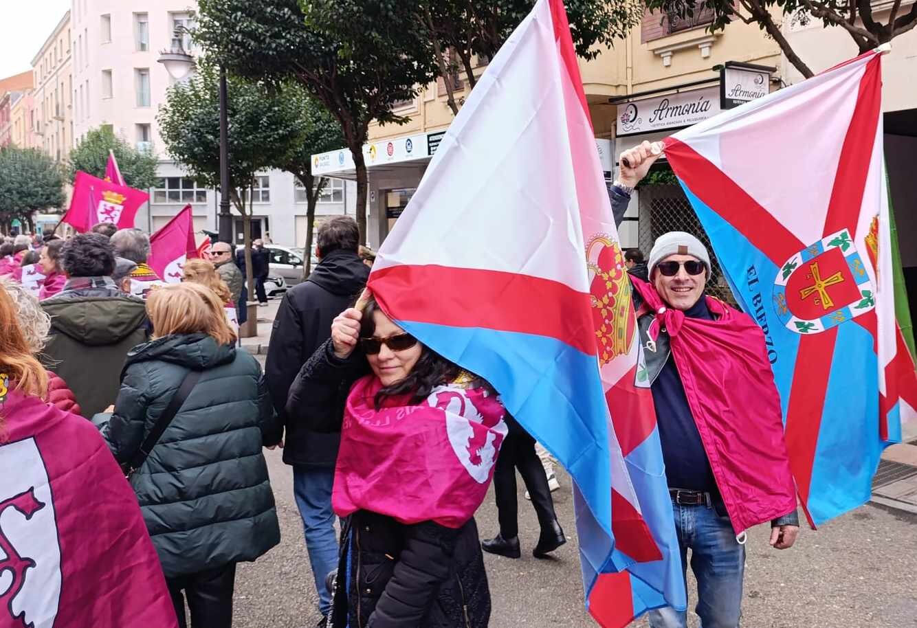 Imagen de las banderas del Bierzo en la manifestación.