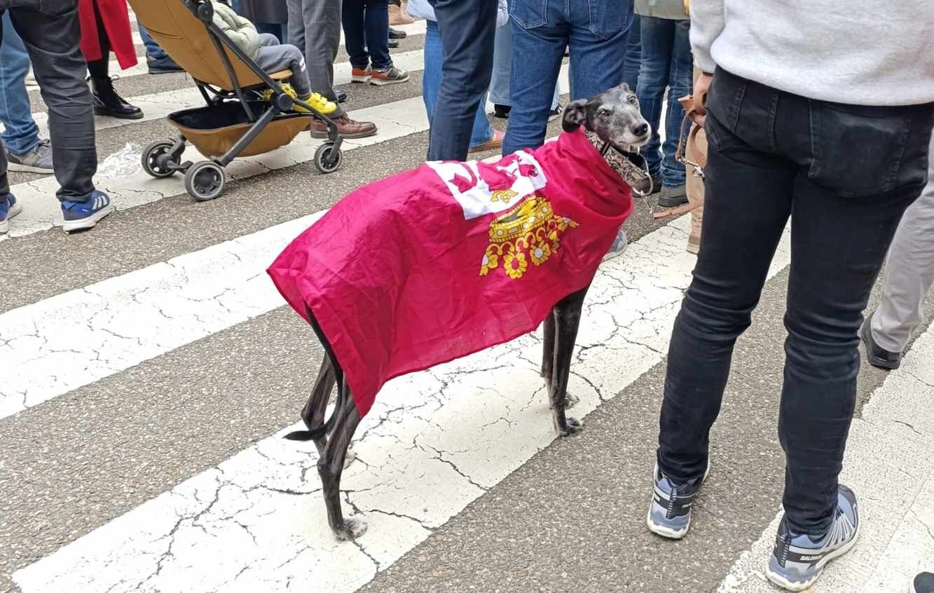 Otra mascota que se une a la marcha.