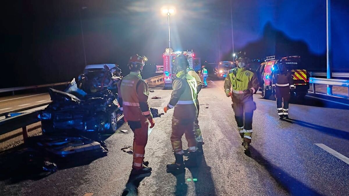 Fallece un varón al colisionar su turismo con un caballo en la AP-66 a la altura de Valverde de la Virgen.