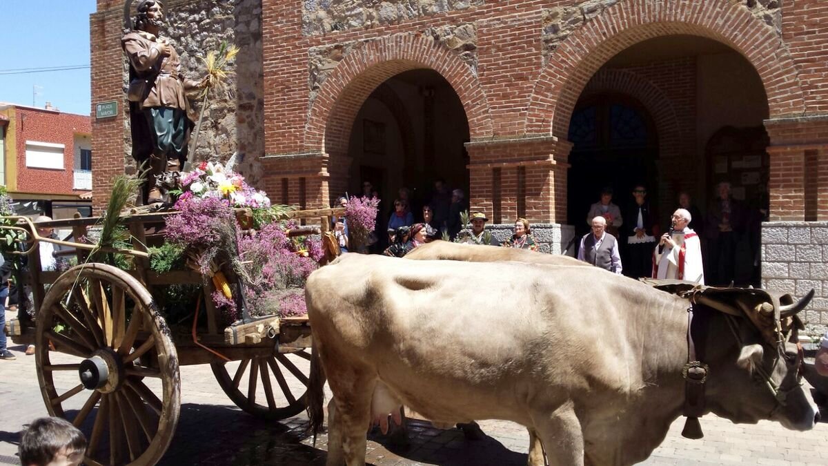Celebración de San Isidro en Santa María del Páramo.2