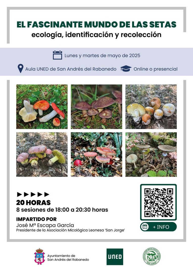 Cartel del curso de la Uned sobre 'El fascinante mundo de las setas'.