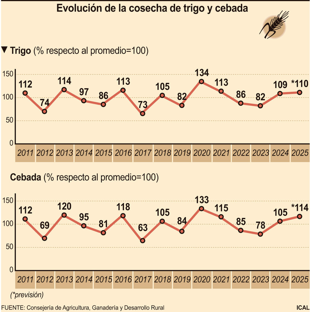 Evolución de la cosecha de trigo y cebada.
