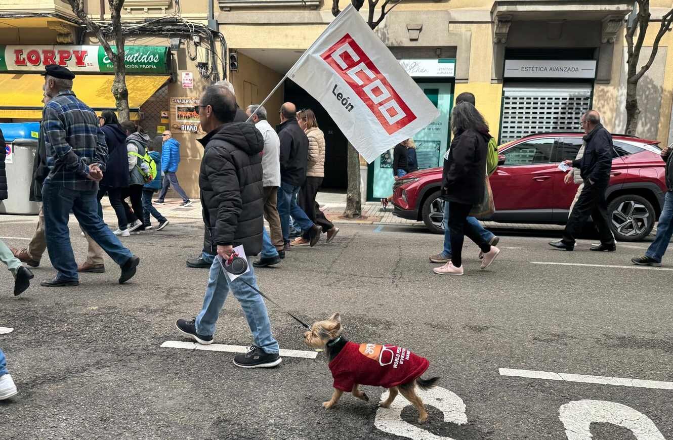 Todo León ha querido salir a la calle este 1 de Mayo.