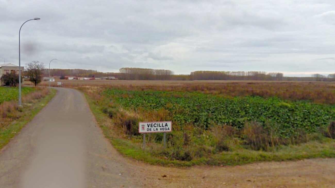Vista panorámica de Vecilla de la Vega