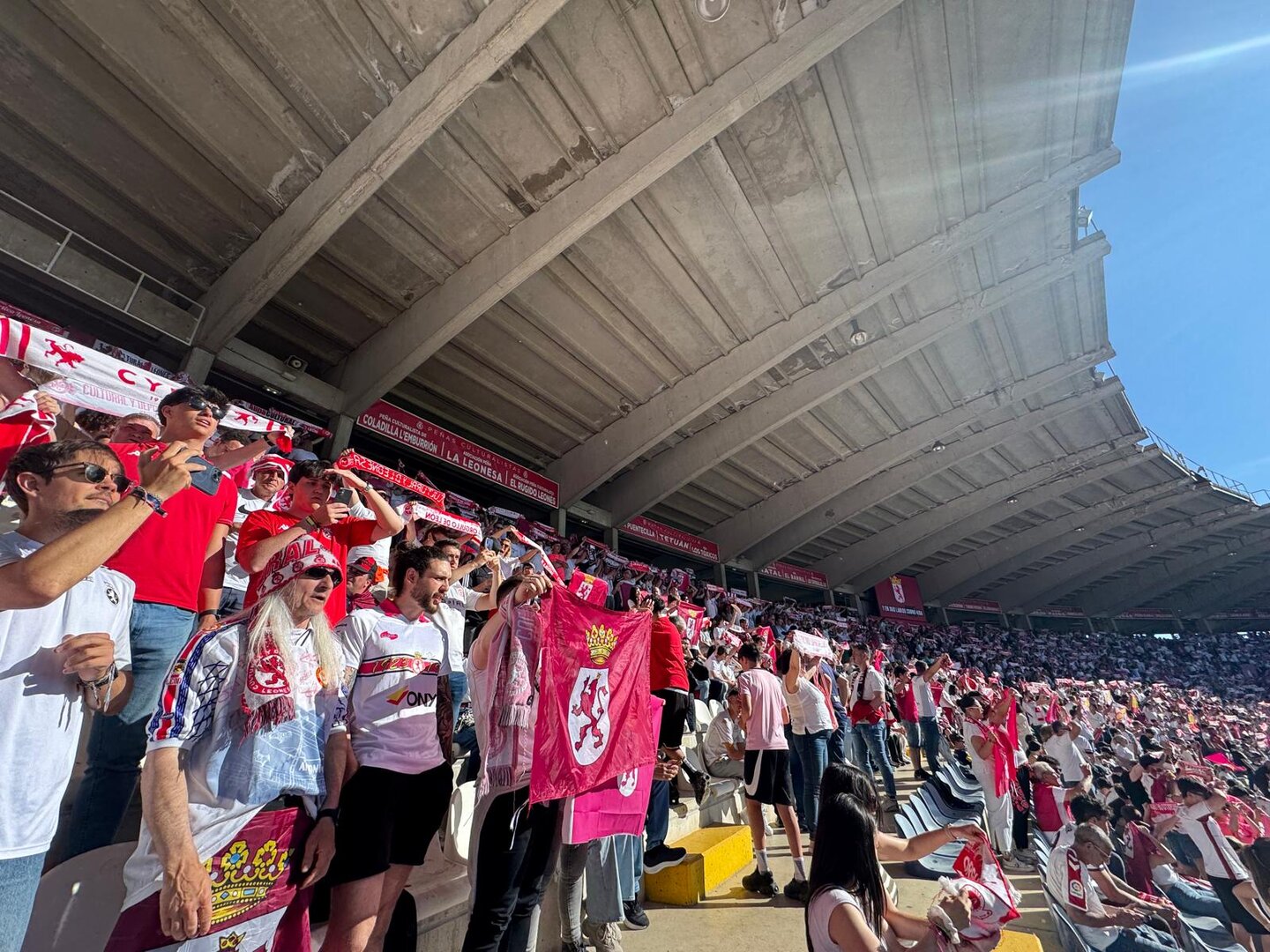 Este es el ambiente en el Reino de León.