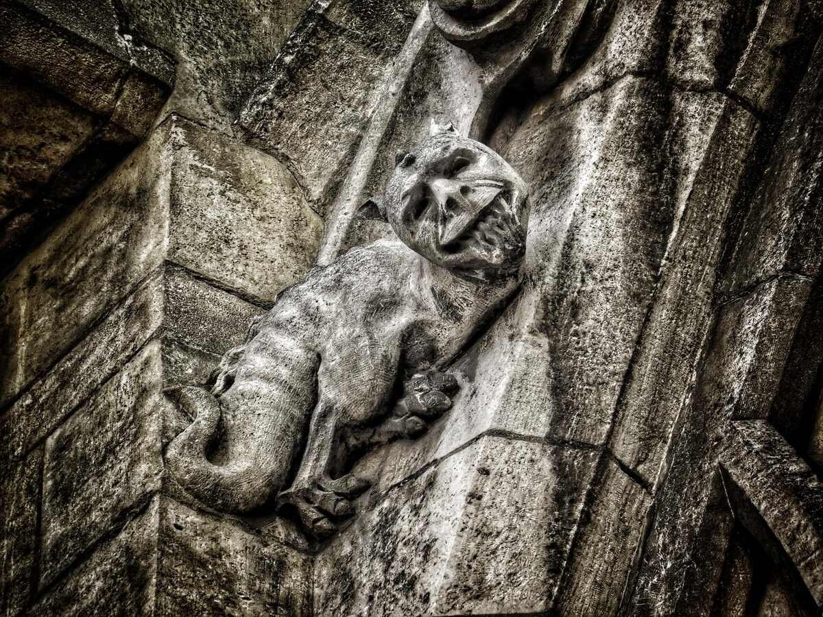 Imagen de uno de los monstruos con cola captados por Juan Luis Puente en la Catedral.
