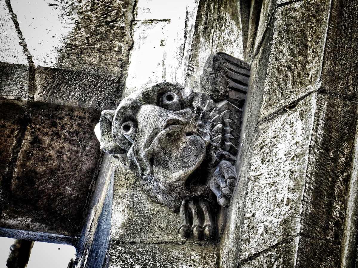 Una mirada penetrante en piedra caliza en la Catedral de León en una fotografía de Juan Luis Puente.