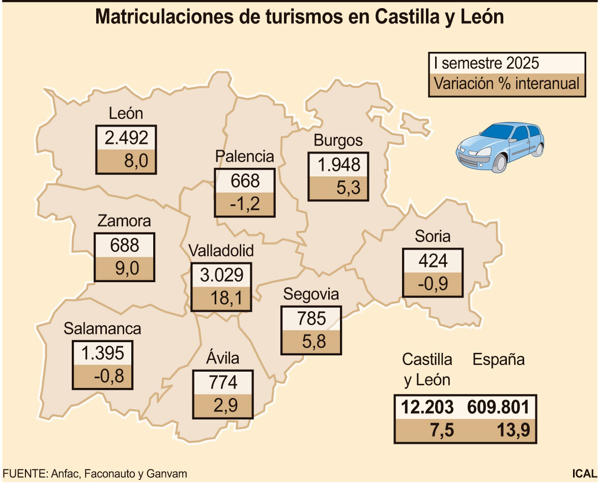 Matriculaciones de turismos en Castilla y León.