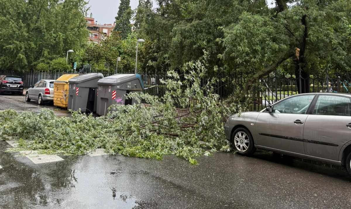 tormenta1