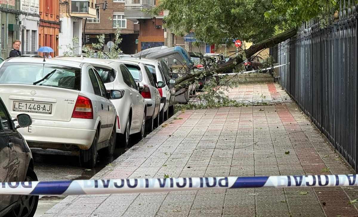 tormenta3