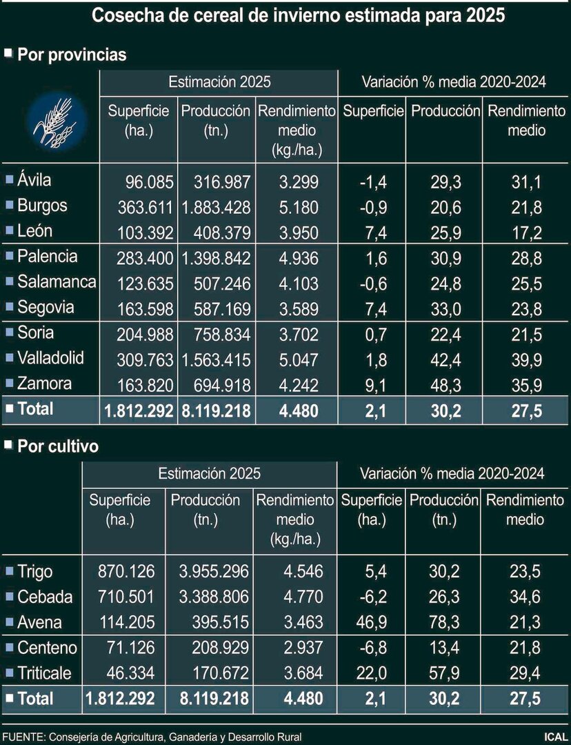 Cosecha de cereal de invierno estimada para 2025.