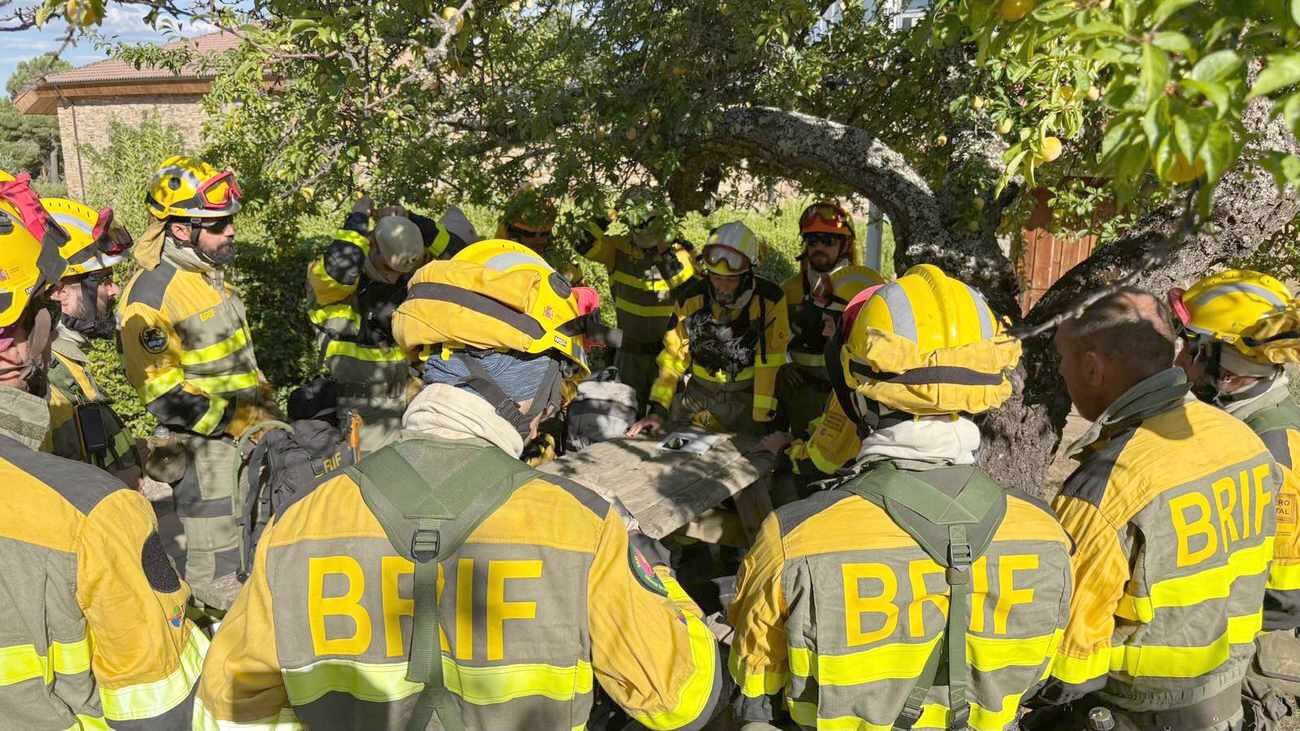 Brigadistas en el lugar del incendio analizan el avance de las llamas antes de intervenir. Foto: Brif Tabuyo