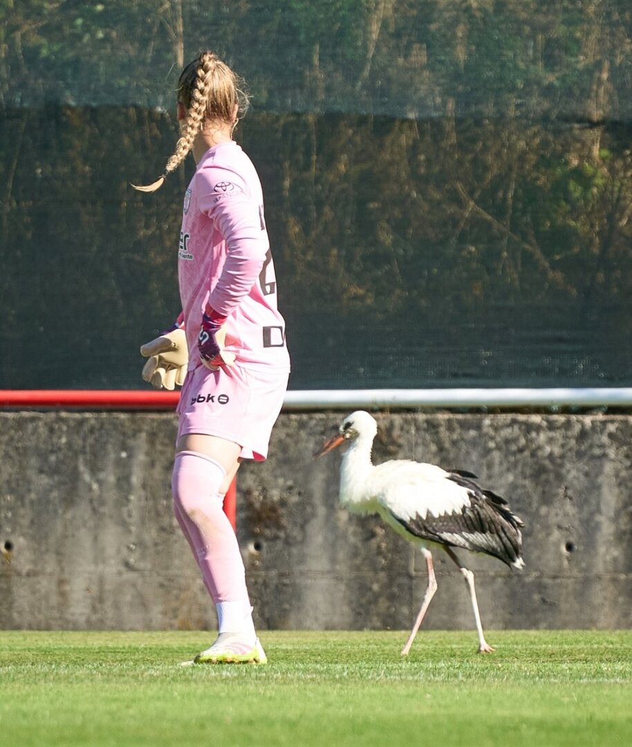 Ziara Vega junto a la cigüeña que interrumpió el partido.