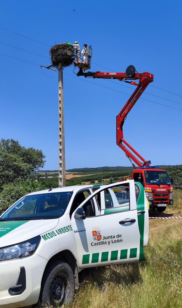 -	La actuación se ha llevado a cabo junto con los Agentes Medioambientales de la comarca de Astorga y la colaboración de los bomberos de la Diputación Provincial de León del Parque de Astorga, el SEPRONA de la Guardia Civil, y el personal técnico de las empresas SEMI (Sociedad Española de Montajes Industriales) y UDF (Unión Fenosa).