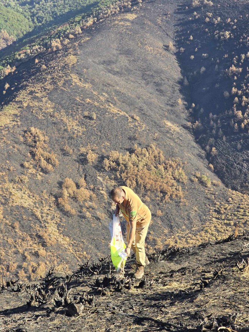 Celadores de Medio Ambiente de la Reserva Regional de Caza de Riaño (León) depositan alimento para la fauna silvestre en terrenos incendiados