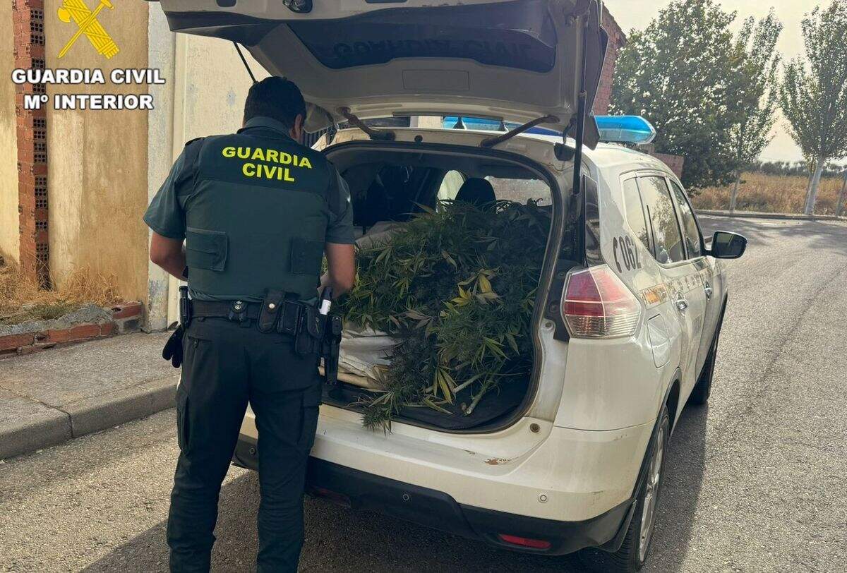 La operación se llevó a cabo por agentes de la Guardia Civil de Valencia de Don Juan. Foto: Guardia Civil