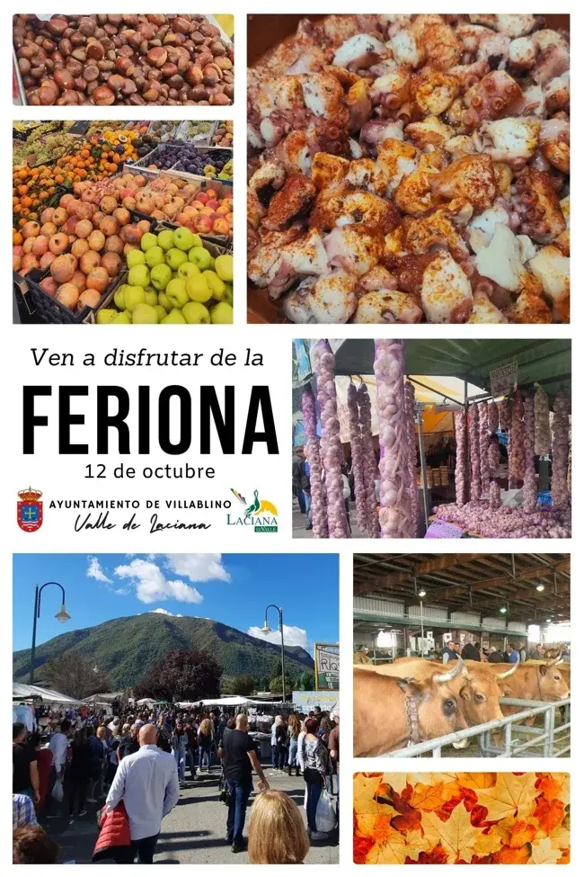 Feriona