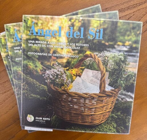 Portada de 'Ángel del Sil'