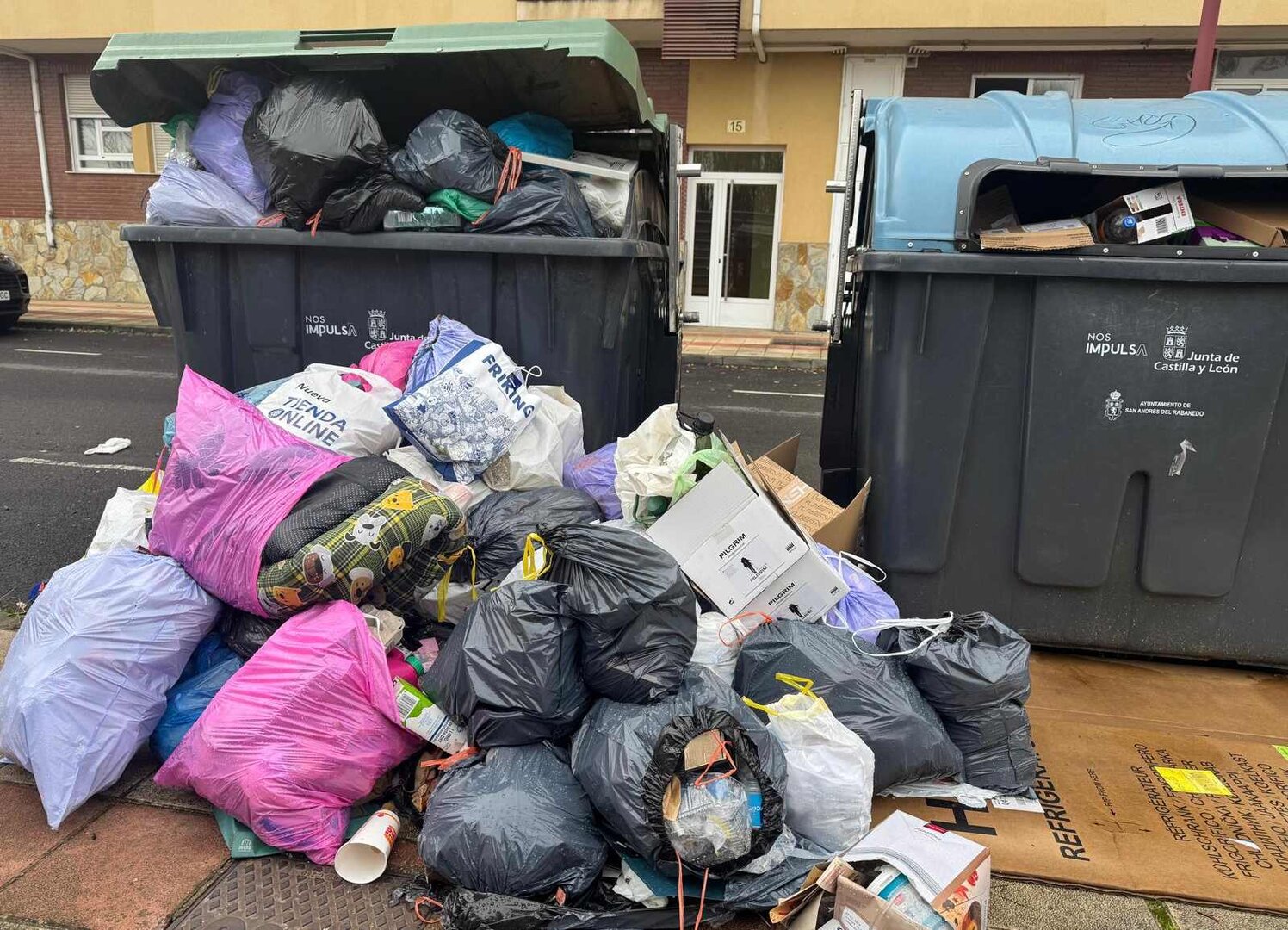 Imagen de los contenedores de basura, este viernes, en San Andrés del Rabanedo.