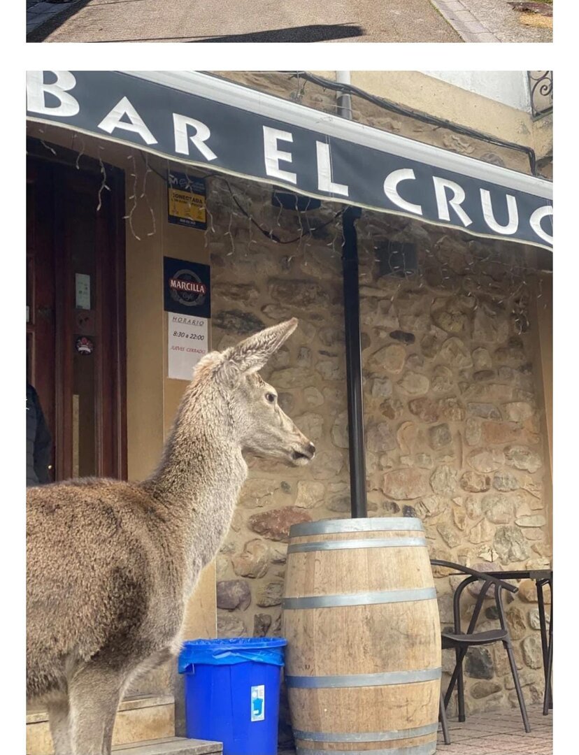 Pepa, junto al bar El Cruce, en La Vecilla.