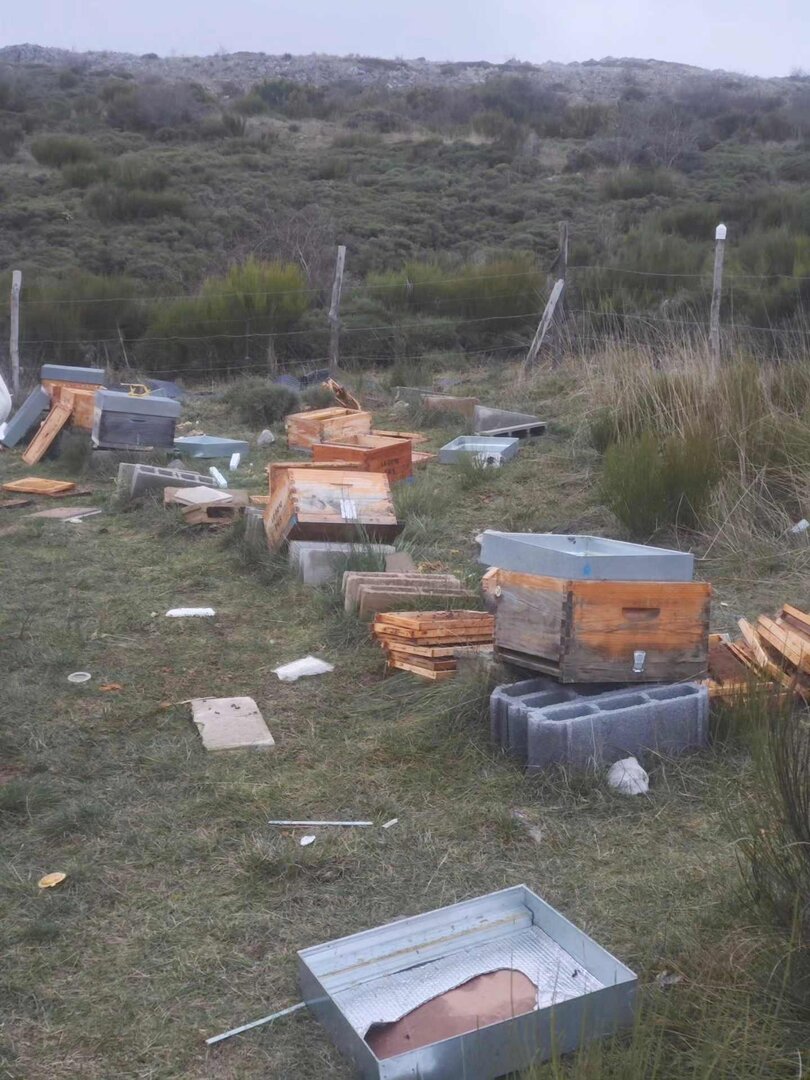 Imágenes difundidas por los apicultores con los daños ocasionados en sus colmenas.