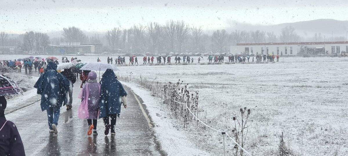 Los andarines bajo la nieve 2