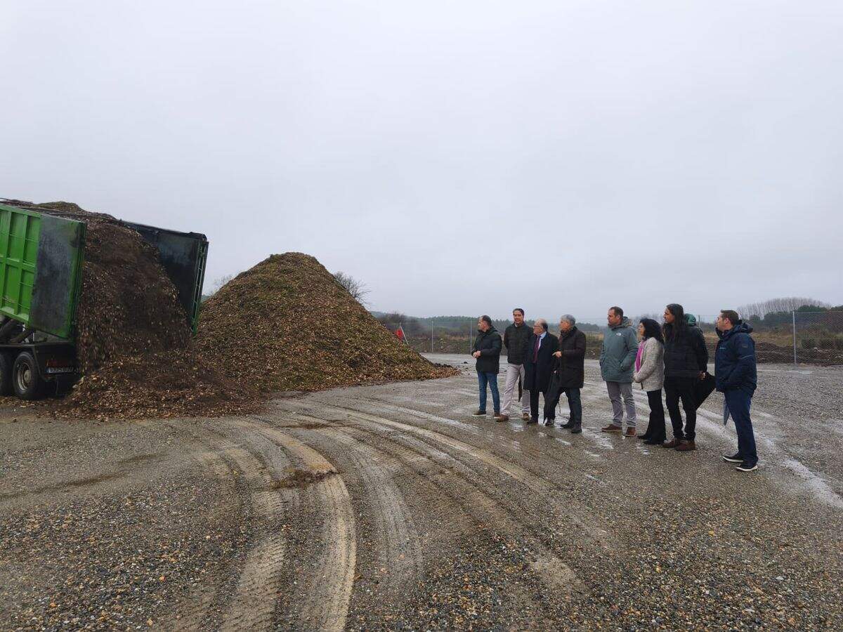 biomasa castrocontrigo2