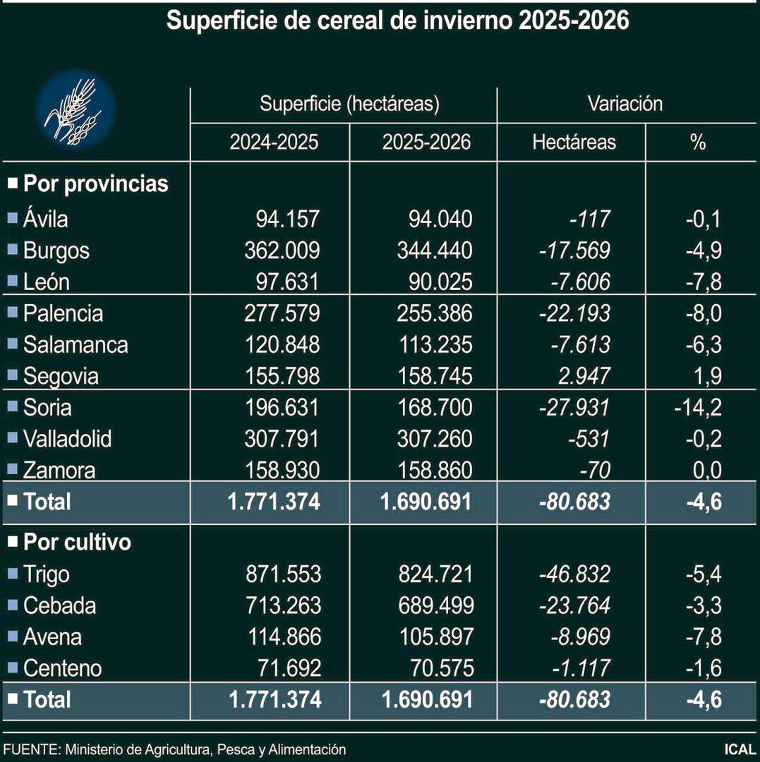 Superficie de cereal de invierno 2025-2026 (10cmx10cm)