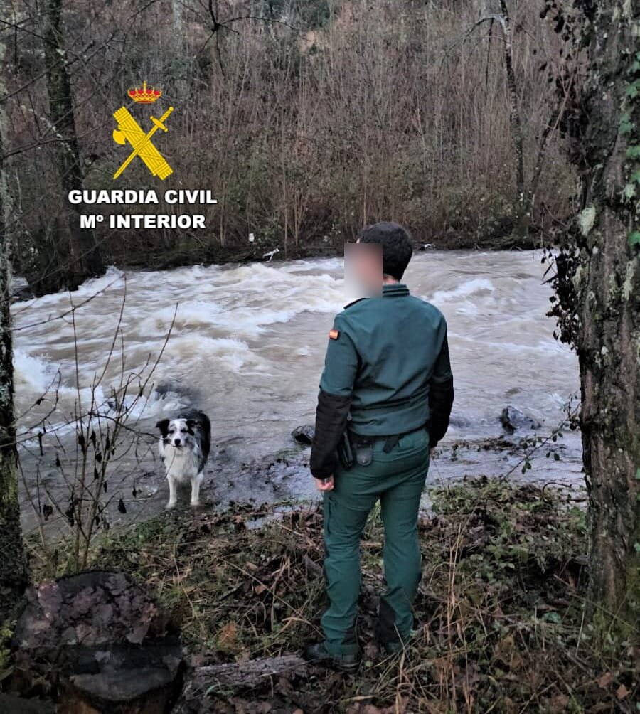 WhatsApp Image 2026-02-06 at 11.03.42 (1)