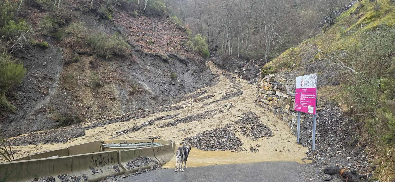 Nuevo derrumbe de rocas y tierra en el acceso a Peñalba de Santiago (León) solo un mes después de su reapertura