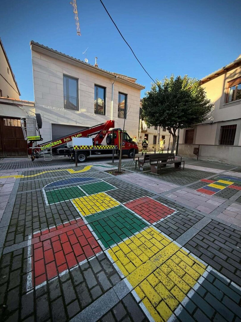 mini_magick20260215-36267-k1tw7