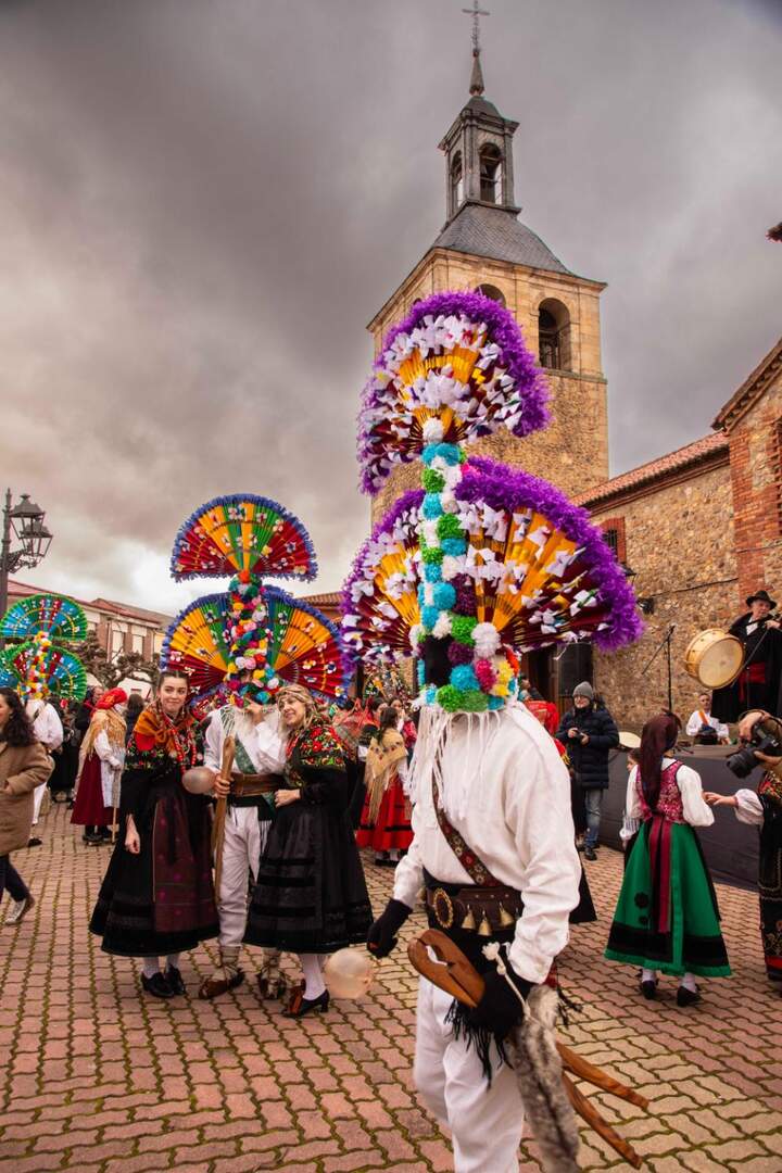 carnaval llamas jesusgg (2)