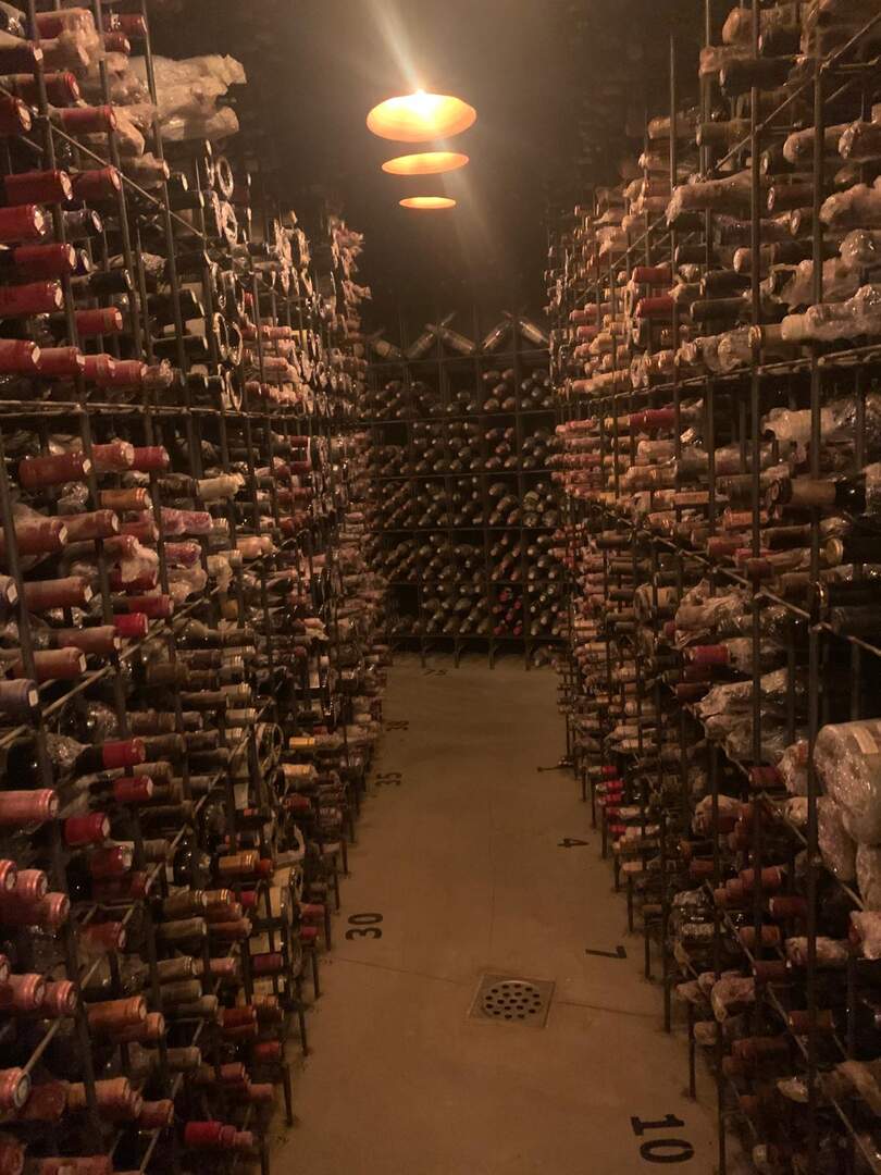 WhatsApp Image 2026-02-18 at 22.55.22