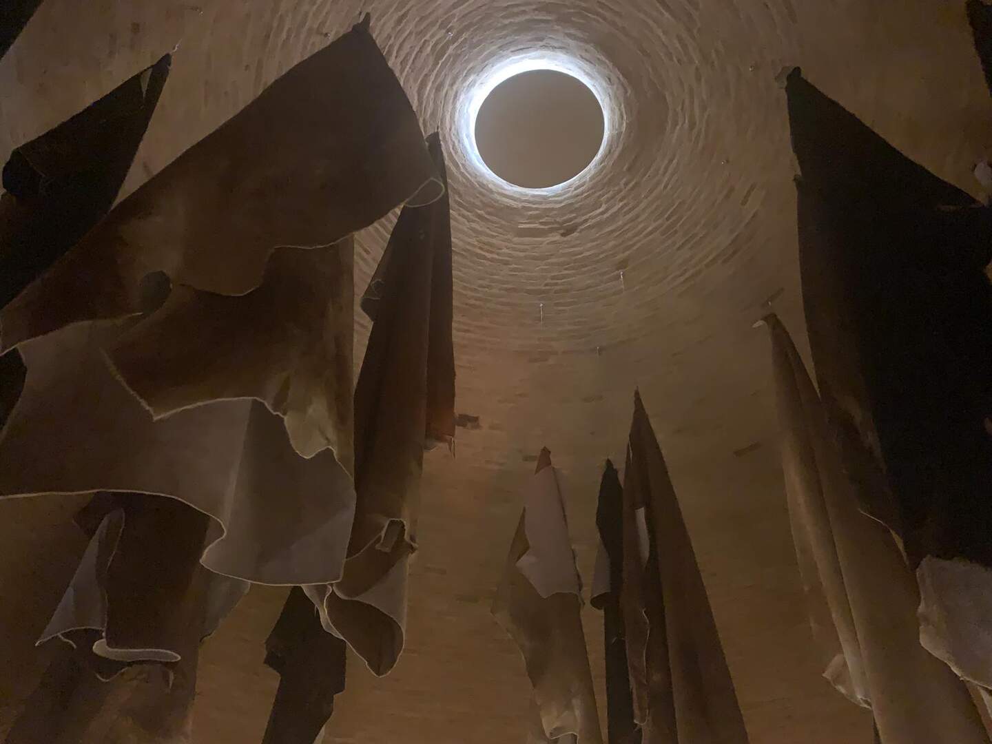 WhatsApp Image 2026-02-18 at 22.51.53 (1)