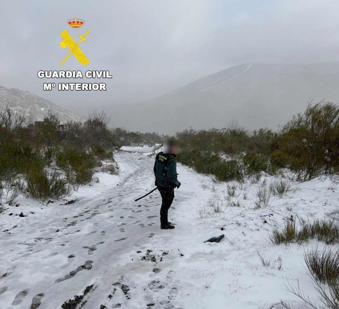 Efectivos de la Guardia Civil durante las labores de búsqueda y rastreo de la desaparecida.