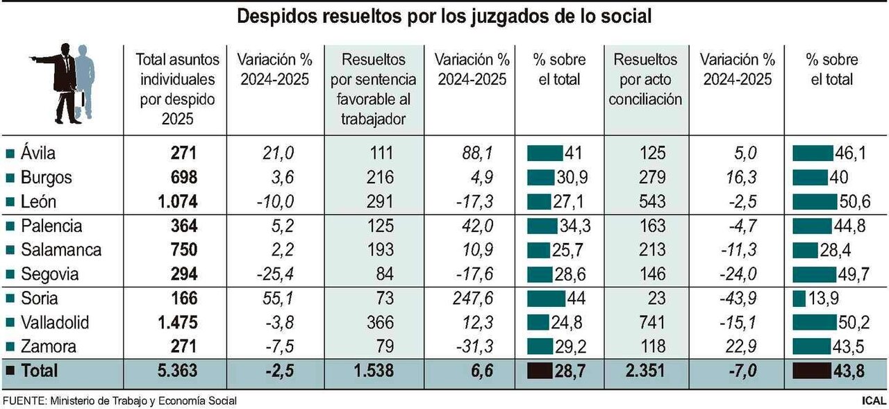 Despidos resueltos por los juzgados de lo social (15cmx7cm)