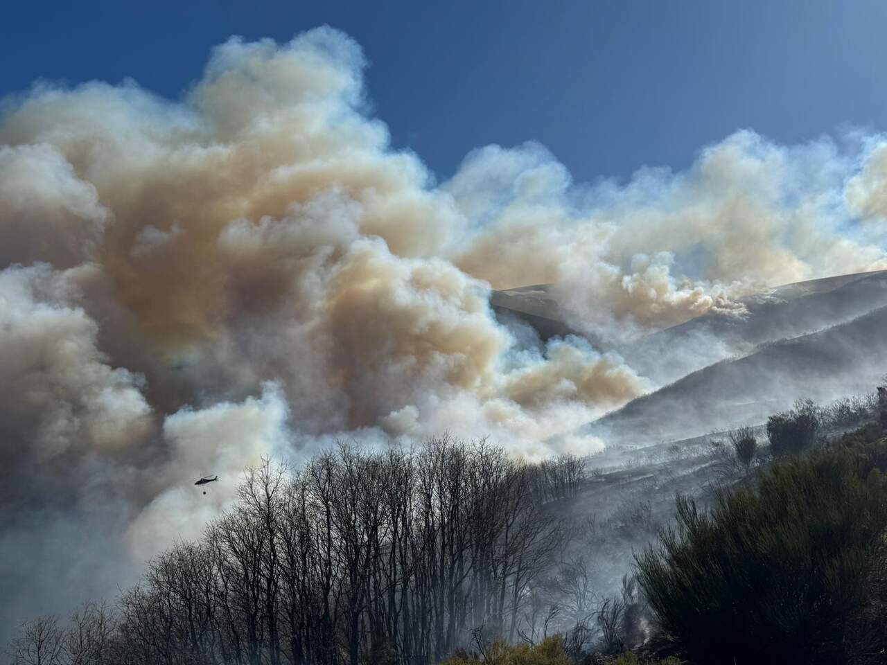 Incendio forestal en la localidad leonesa de Lubián este sábado.
