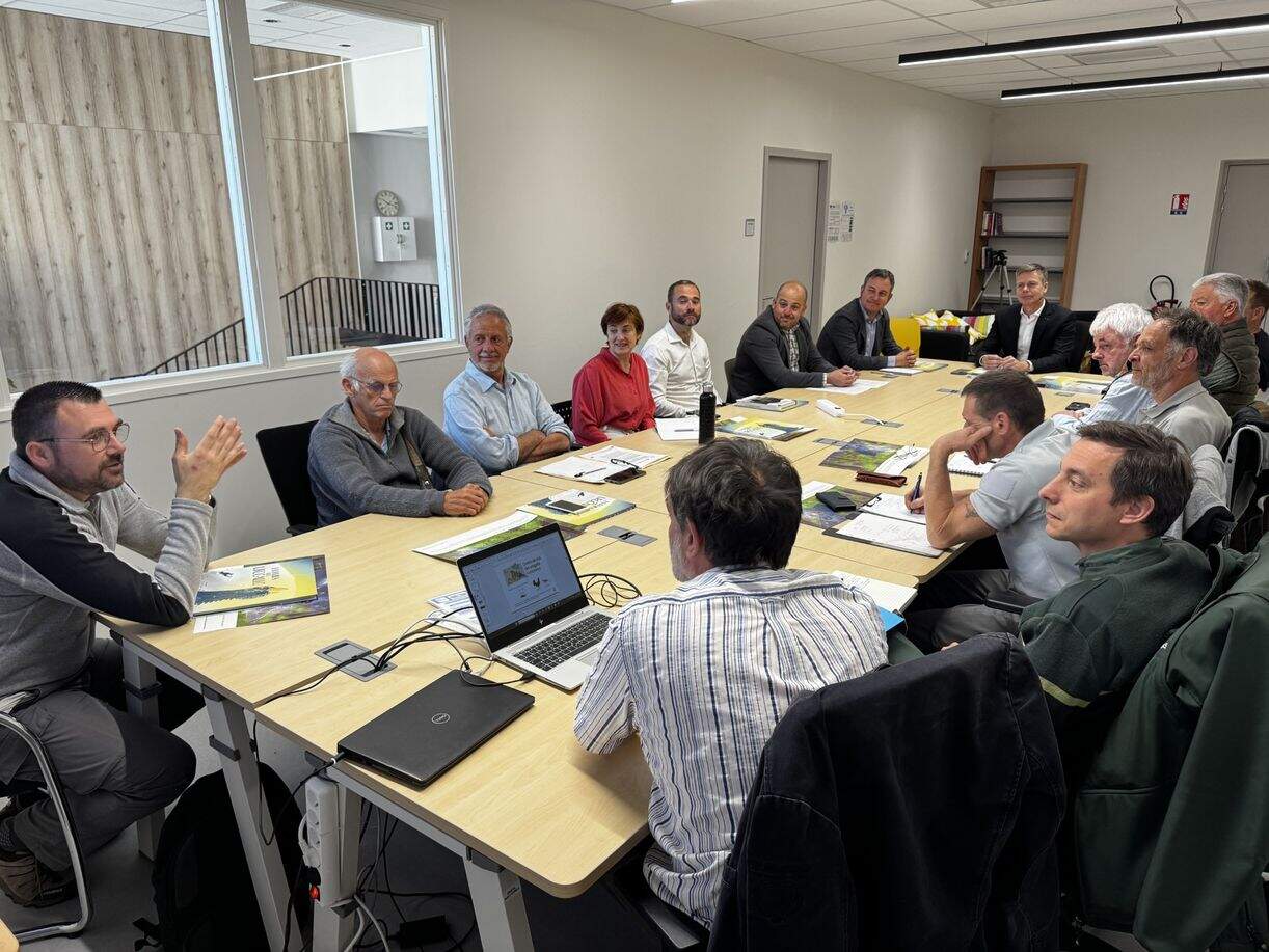 mesa tecnica urogallo